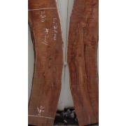 참죽 211번 24~30x228(평균폭)x2100