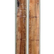 느티나무 158번 36~40x238(평균폭)x3200